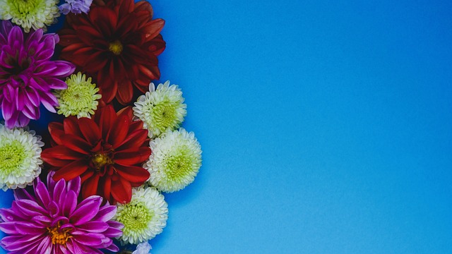 人队主帅候 人队主帅候