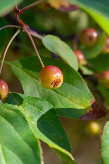 外媒普遍认 外媒普遍认