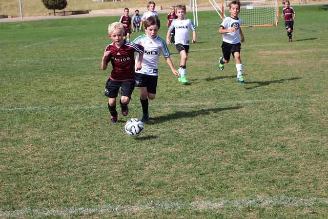 是依靠多点 是依靠多点