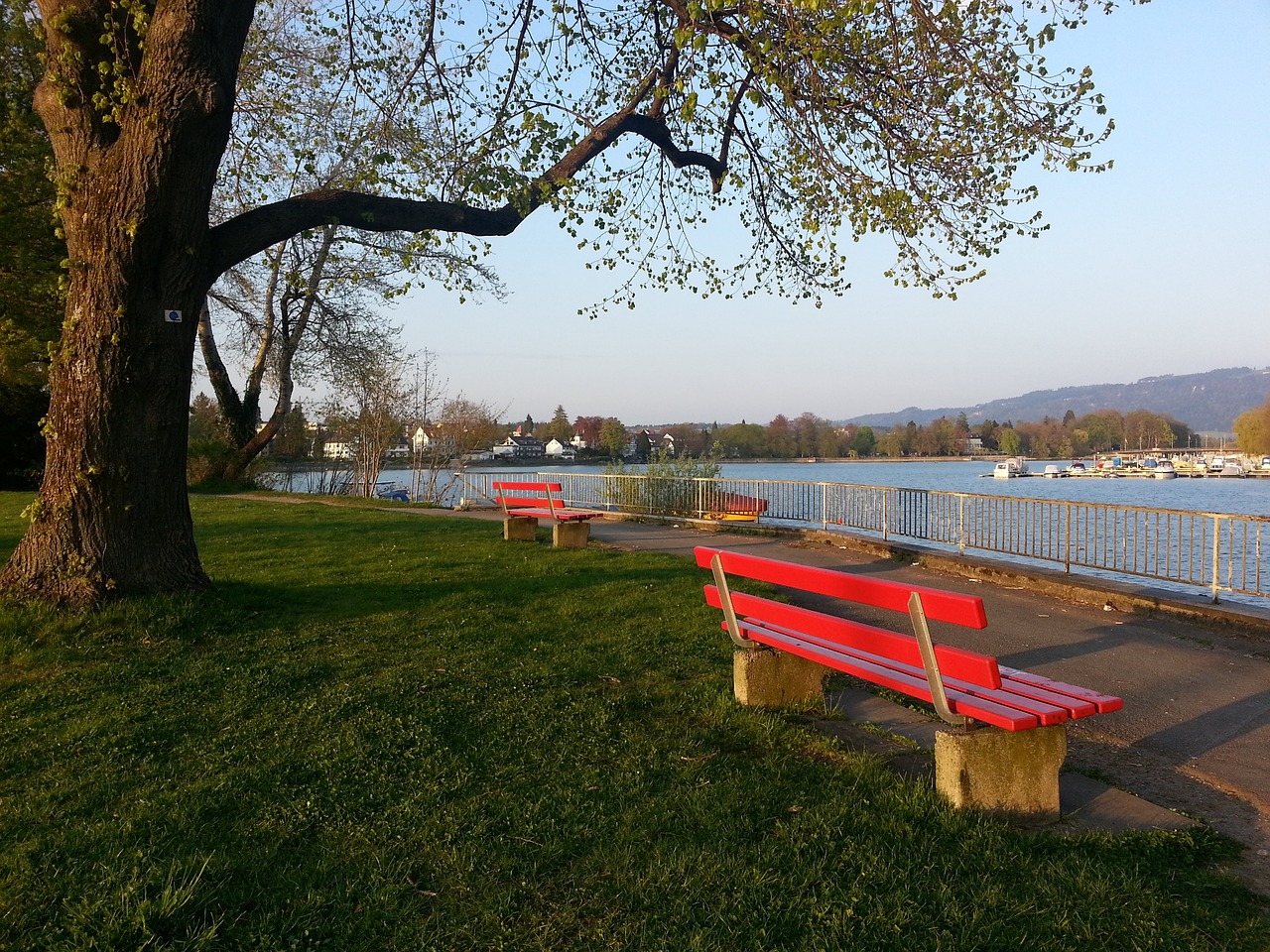 国家大力支 国家大力支