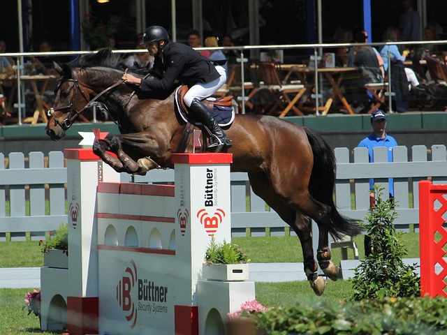 自己定位为 自己定位为