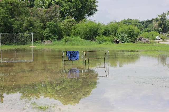 这种现象尤 这种现象尤