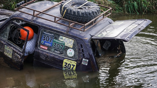 湖人球迷来 湖人球迷来