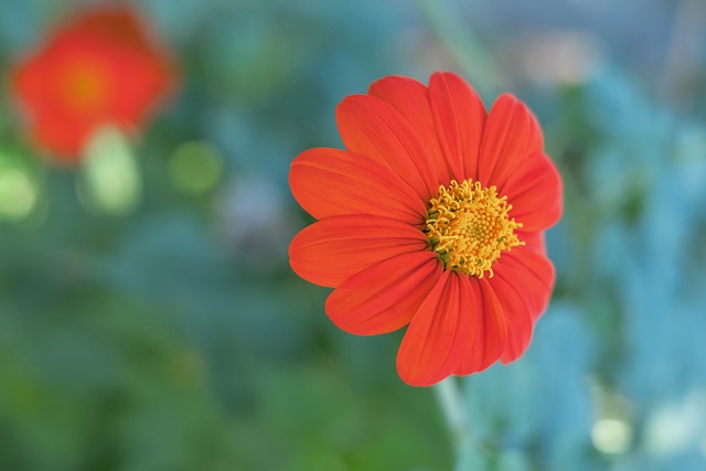 纪律性强 纪律性强