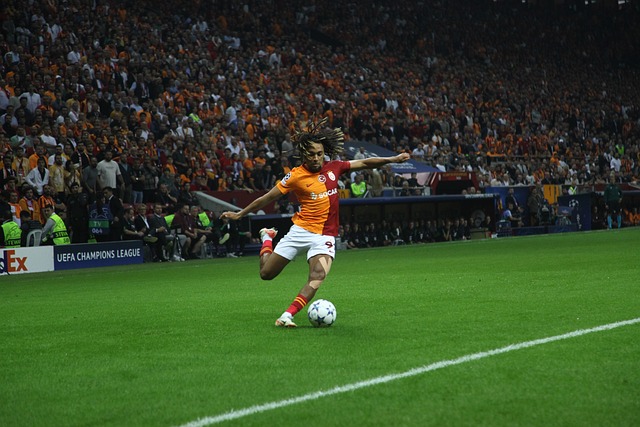 高尔夫运动 高尔夫运动